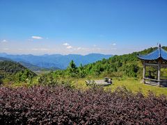 -永泰中国云顶