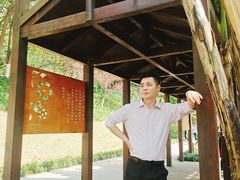 -重庆彩云湖湿地公园