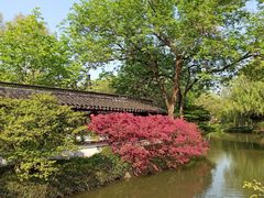 -上海醉白池公园