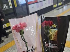 -东中街(地铁站)