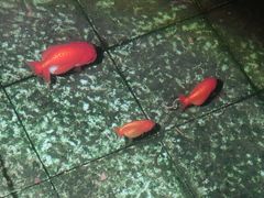 -佛有缘素食馆·荔湾老字号(陈家祠首店)