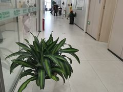 -慈铭体检(洋桥分院)