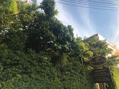 -Fern Forest Cafe