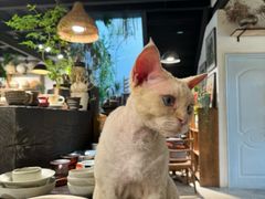 -自由生长植物工作室(深港花卉中心店)