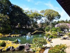 -醍醐寺