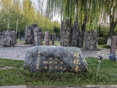 -伊犁河风景区