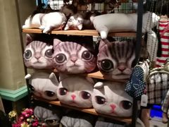 -猫咪博物馆(顶澳仔猫街店)