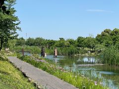 -长田漾湿地公园