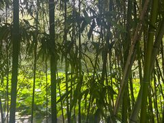 -皇家御河游(紫御湾码头)