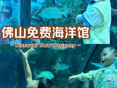 -乐从天佑城海洋馆
