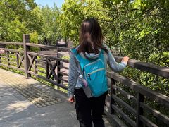 -白马涧龙池景区