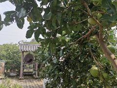 -张公山寨景区