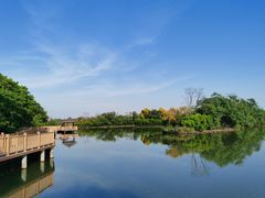 -大湾区中央湿地公园