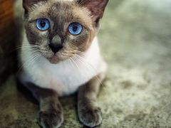 -MIKAKU(万达广场上海宝山店)