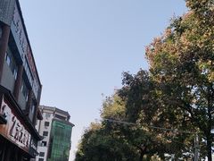 -一记洛阳菜·糖醋小排·水席(十字街店)