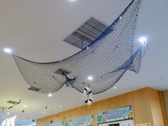 -澳洲袋鼠早教(南二环店)