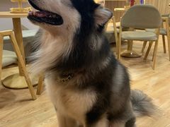 -白兔子密室(长寿路店)