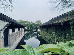 -鲁镇