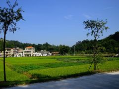-红山村