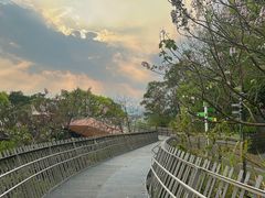 -福道