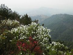 -木兰云雾山
