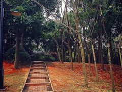 iphone_upload_pic-大沙河公园