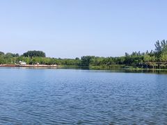 -东郊湿地公园