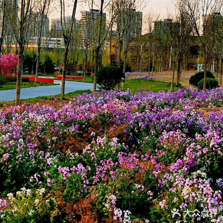 惠水湾森林公园