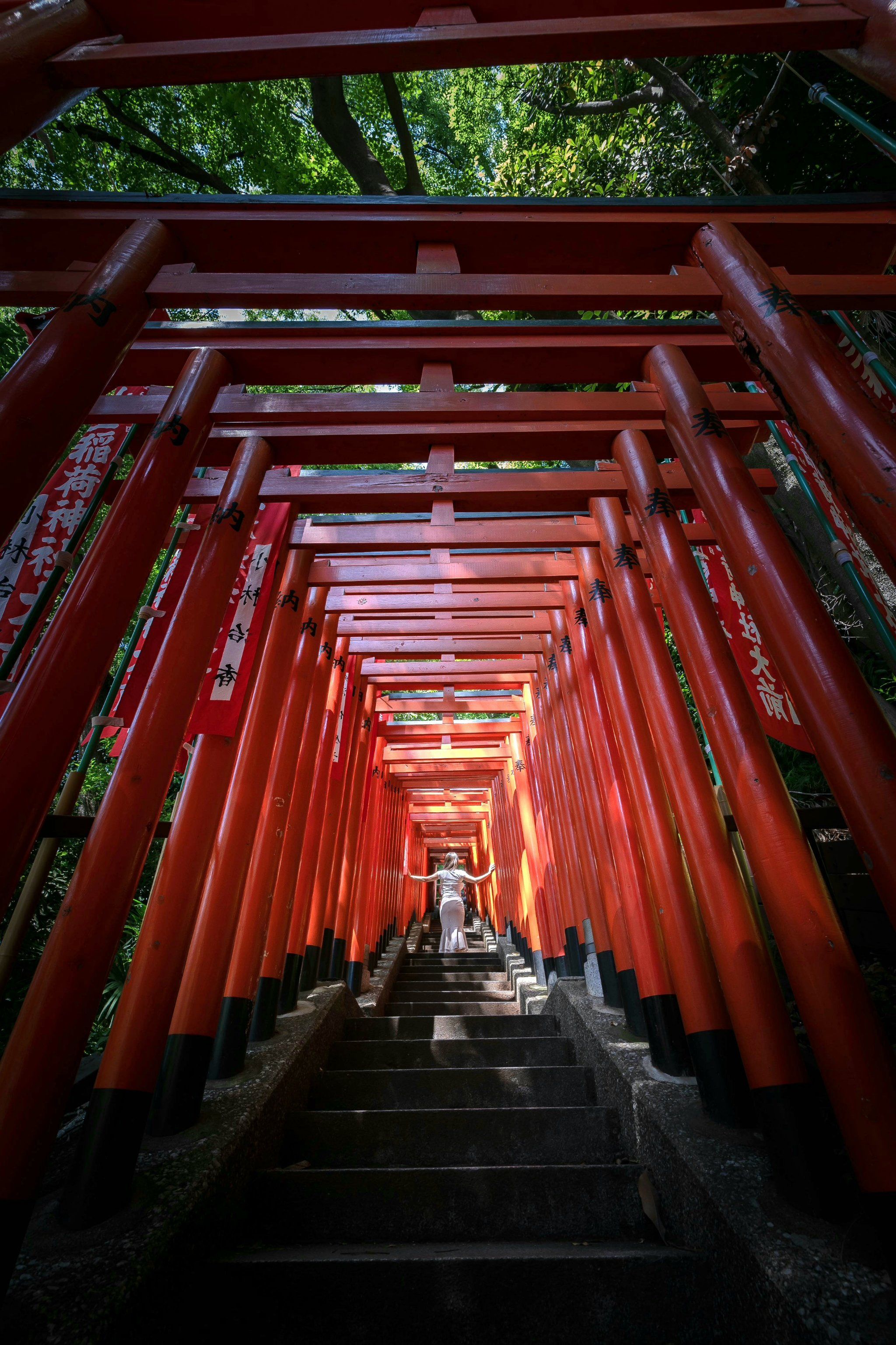 穿越千本鸟居,通往神秘的神社之路