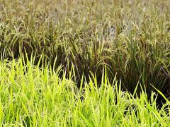 -中国天府农业博览园