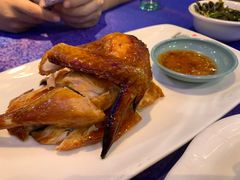 东江镇店宝鸡-东江海鲜大排档·潮汕菜·砂锅粥
