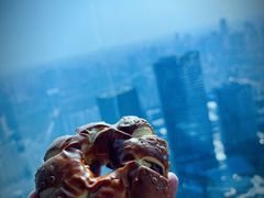 -上海龙之梦万丽酒店