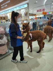 -孩子王(建邺金鹰世界店)