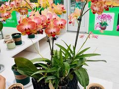 -兰陵国家农业公园