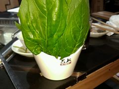 android_upload_pic-巴奴毛肚火锅(广益哥伦布店)