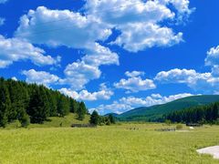 -塞罕坝国家级自然保护区