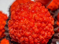 -粤匠·澳门点心粤菜海鲜(澳门半岛店)