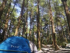 -重庆睡佛山森林公园