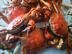 大闸蟹-东方红海鲜百汇(国际大厦店)