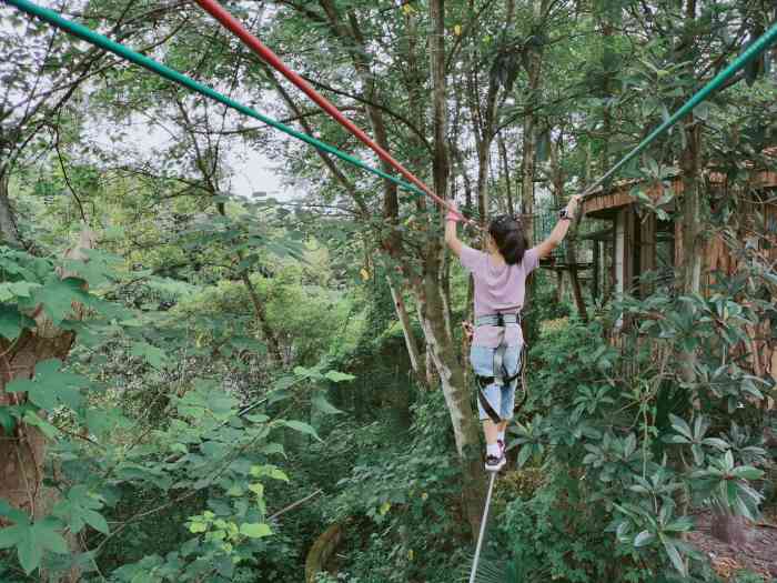 成都飞越丛林探险乐园(三道堰园区)-"飞越丛林公园位于:成都市郫县