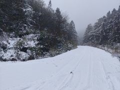 -武陵山森林公园