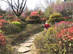 -贮水山儿童公园