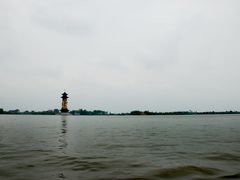 -溱湖国家湿地公园