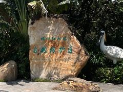 -深圳湾公园(南山区)