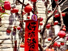 -真定郝家排骨(大十字街店)