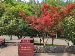 -南京市江宁方山