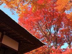 -常寂光寺