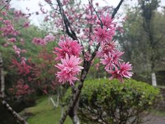 -常德桃花源景区