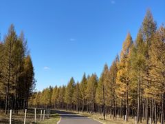 -塞罕坝国家级自然保护区