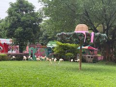 -广州长隆飞鸟乐园